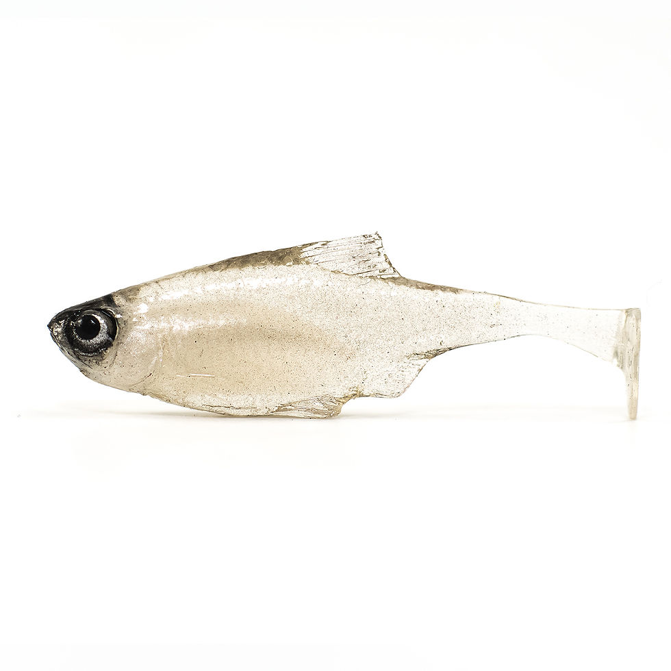 Thumbnail: Angry Bitterling (Pack of 10)