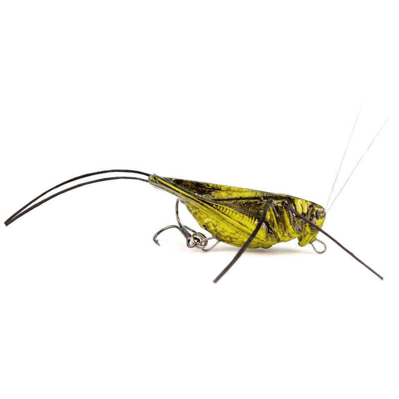 Thumbnail: Imago Hooper (Pack of 5)