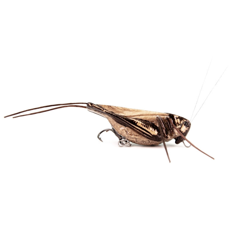 Thumbnail: Imago Hooper (Pack of 5)