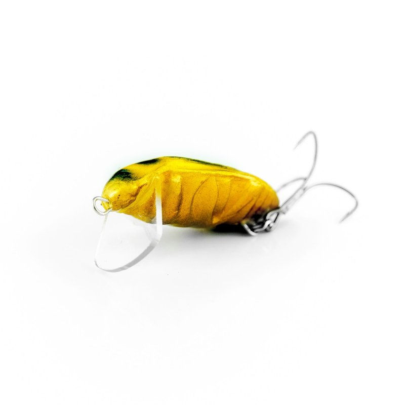 Thumbnail: Imago Beetle (Pack of 5)