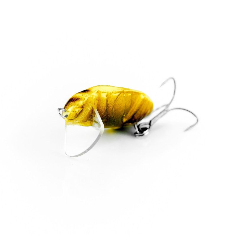 Thumbnail: Imago Beetle (Pack of 5)