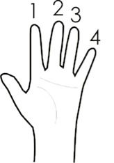 NOÇÕES PARA VOCÊ QUE ESTÁ INICIANDO...