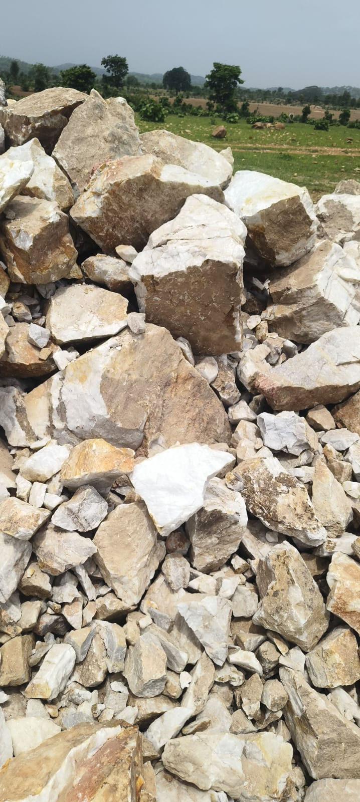 Thumbnail: WHITE QUARTZ STONE RAW MATERIAL