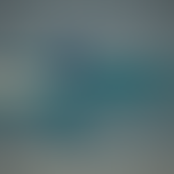 会員様の声から見えてくる！サーフジム湘南で叶える、あなたらしいサーフィンライフ