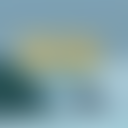 Dead Kooks SPEEDHULL（スピードハル）