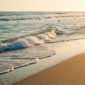 サーフィン上達の鍵は「回数」にあり！なぜ海に行くほど上手くなるのか？