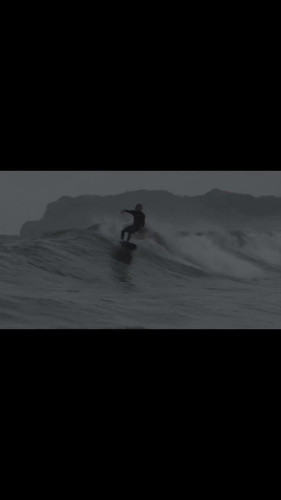 Wild Flower6'1x20 3/4x2 5/8 | Dead Kooks Shonan