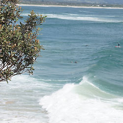 湘南江の島のサーフボードレンタル