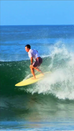 deadkooks サーフボード デッドクークス Hellcat ヘルキャット デッドクークス サーフボード DEAD KOOKS SURFBOARDS サーフィン