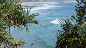 DEADKOOKSが宿す100%オーストラリアメイドの魂。バイロンベイとの絆と「普遍的な価値」