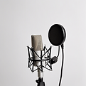 Recording microphone