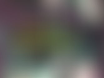   Glossary of Terms often used in Tantric Hinduism and Tibetan Buddhism