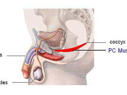 Do These Moves To Relax Tight Pelvic Floor Muscles For Men & Women