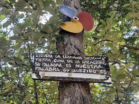 Limpieza Ambiental Pozo Azul