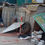 Miniatura: LOTE DE MATERIALES