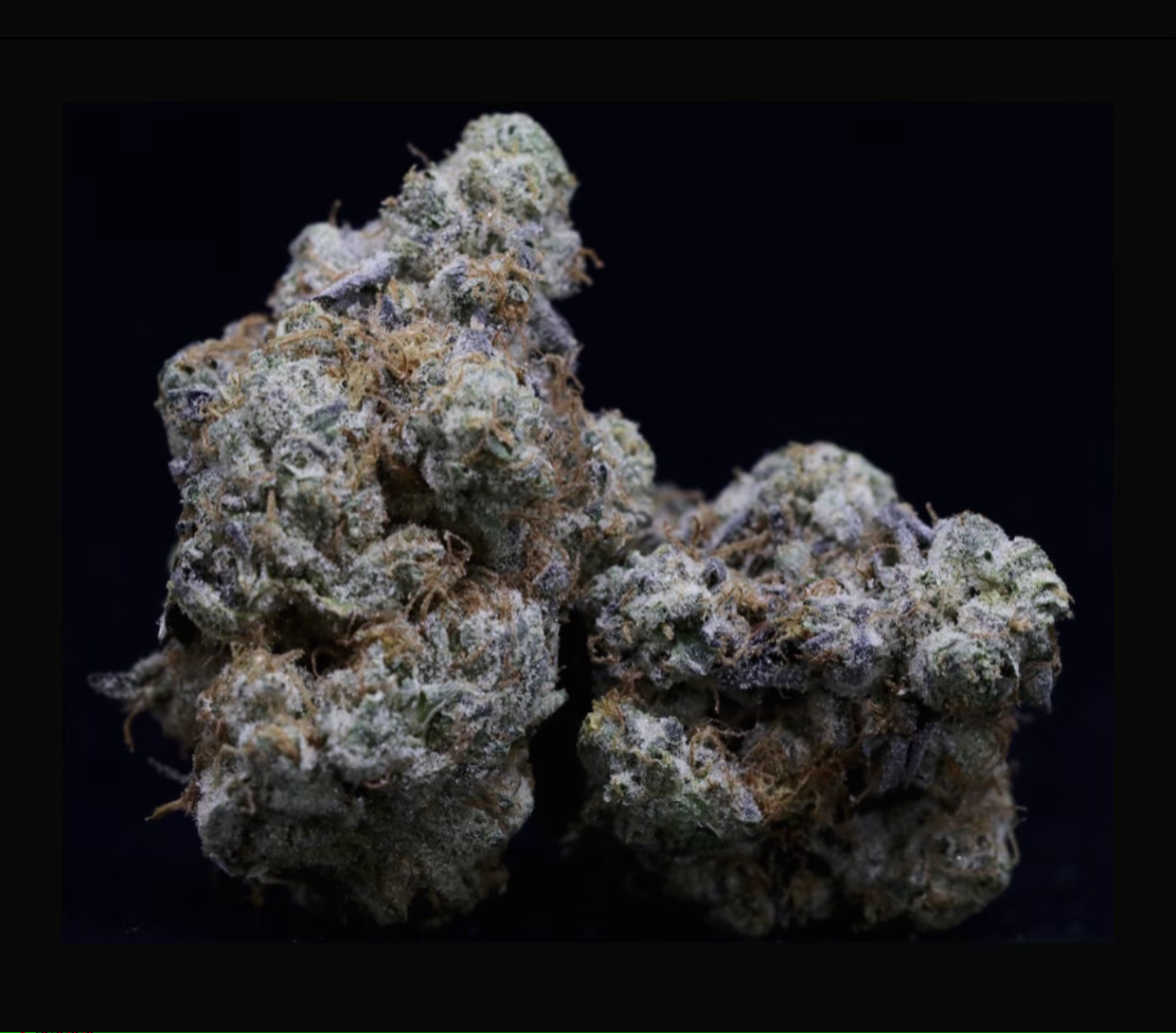 CRAZY MIGRAINES🤪LOT#(3378)