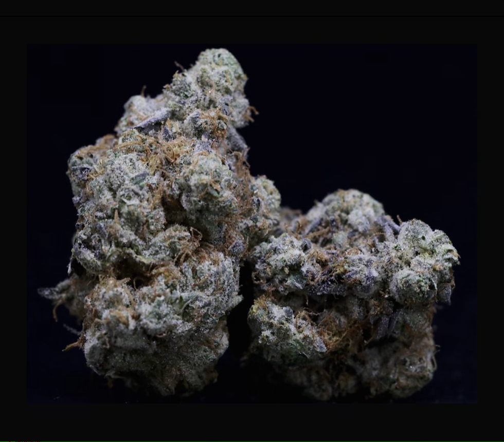 CRAZY MIGRAINES🤪LOT#(3378)