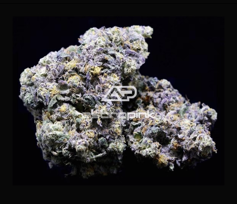 PINK ESCOBARšLOT#(2985)