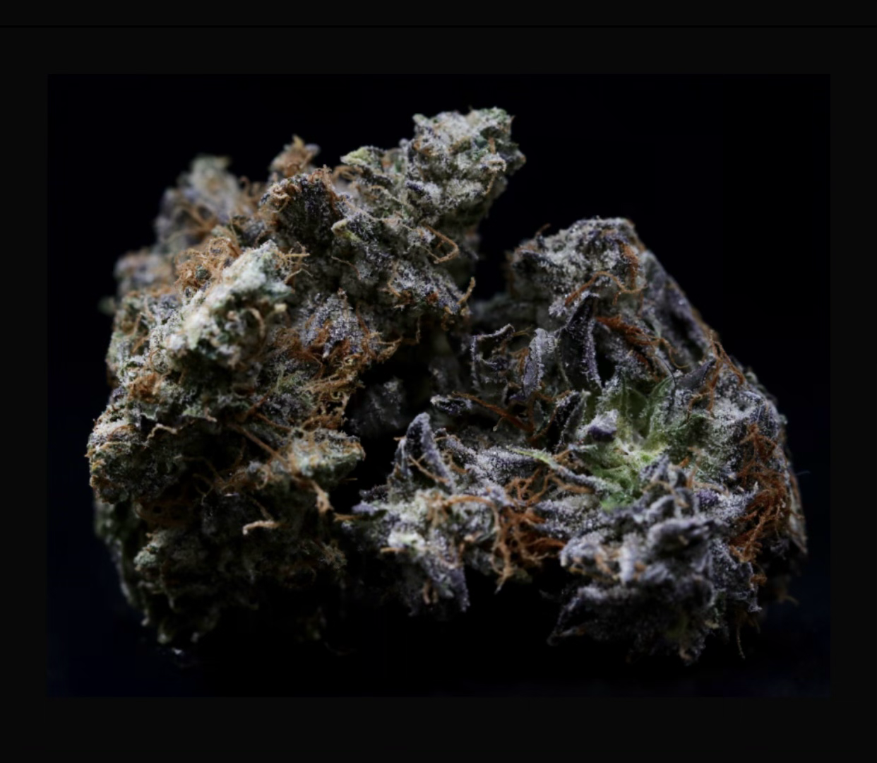 AFGOOEY PINK⛑LOT #(3456)