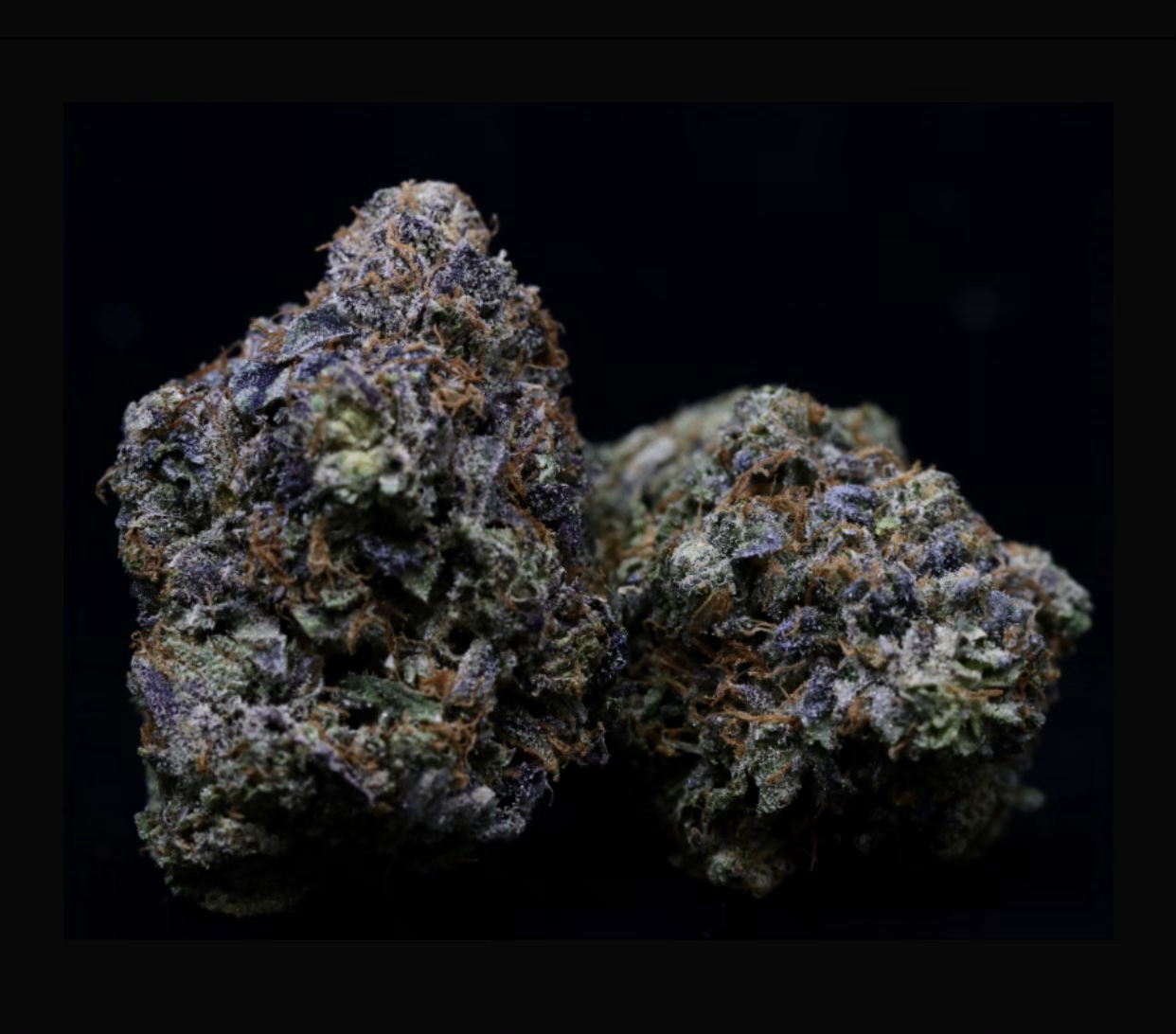 EXOTIC PINKšLOT#(2945)