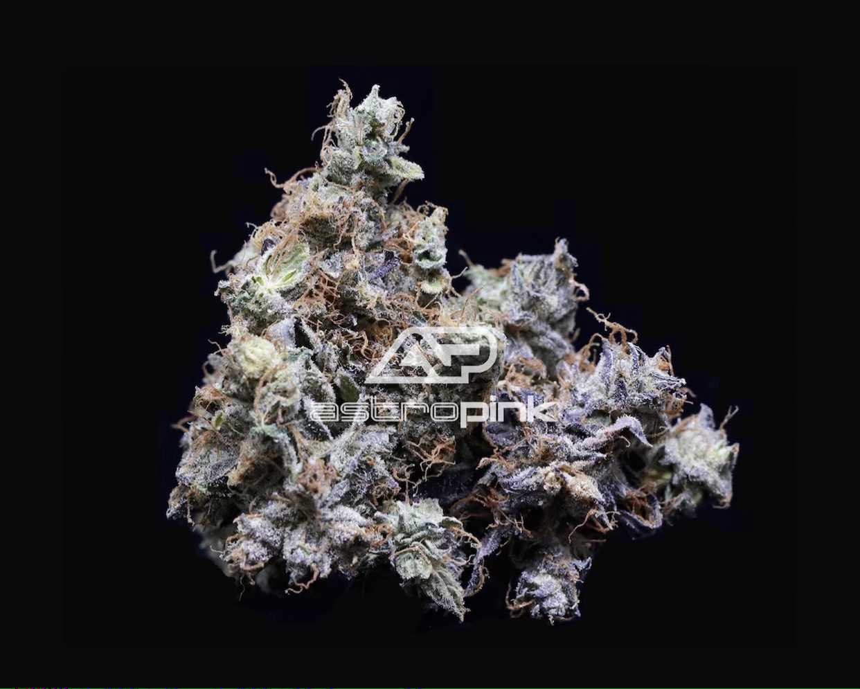 PINK PANTIES👙LOT#(2378)