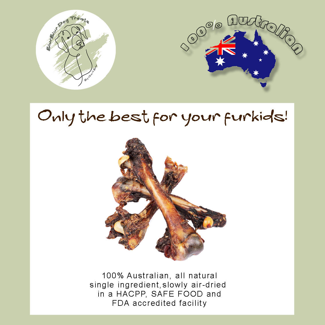 Kangaroo Femur Bones