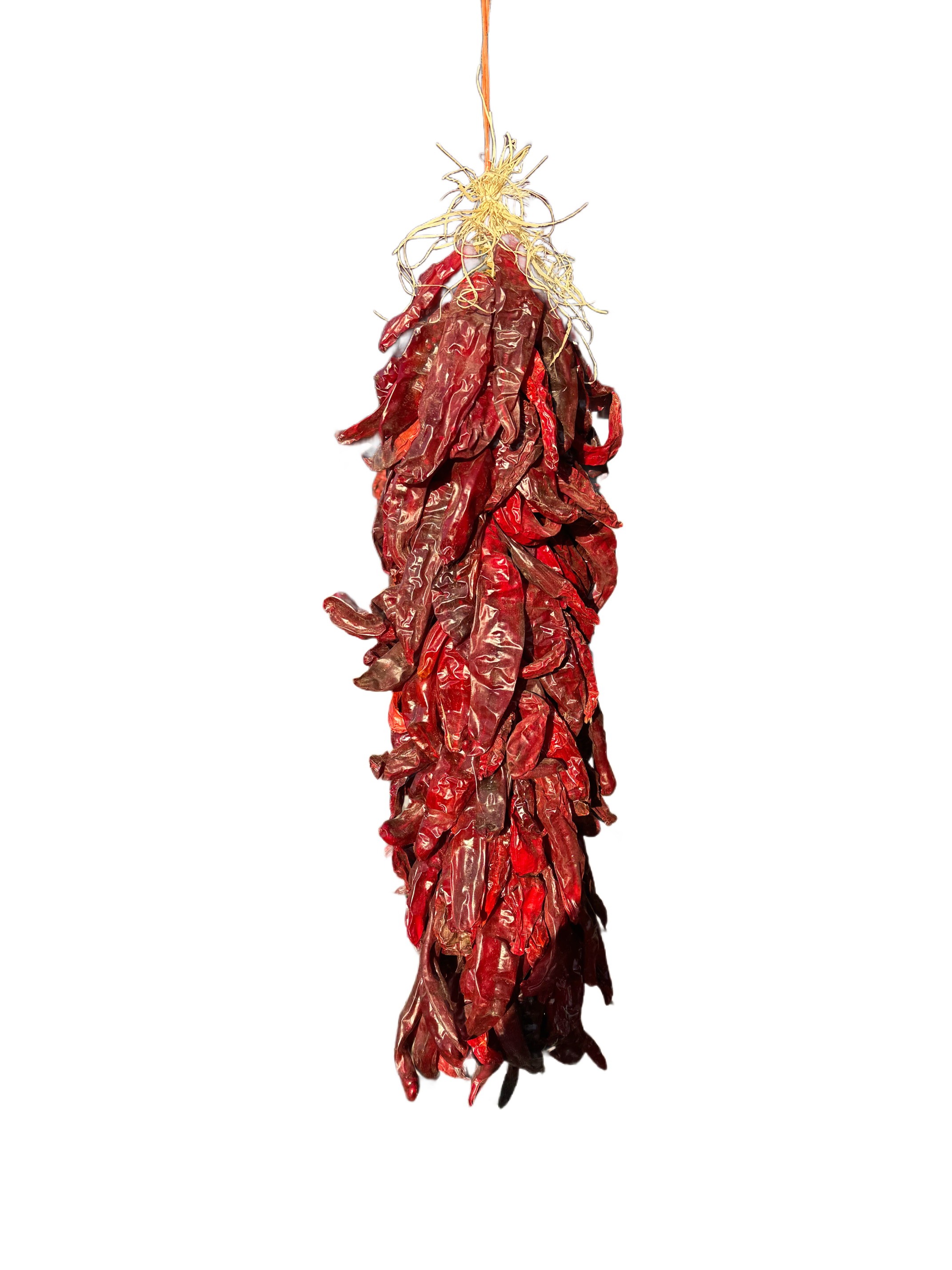 2 foot Chile Ristra