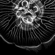Climate Change and the Jellyfish