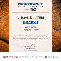 Award for Kate Snow as a Finalist of the Photographer of the Year 2025