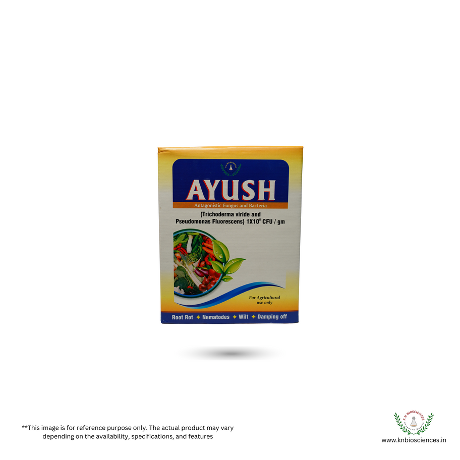 "Ayush: Natural Prevention for Banana Pests" - Illustration depicting healthy banana plants shielded by Ayush
