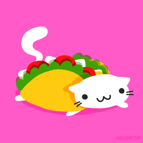 taco 03.gif