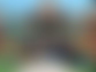 Projeto Campeões 5ª Edição