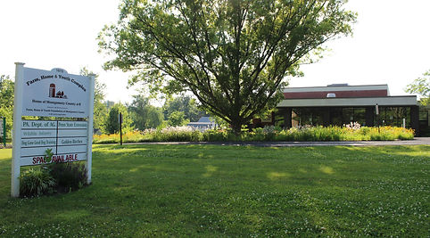 2026-06-08-0011.JPG
