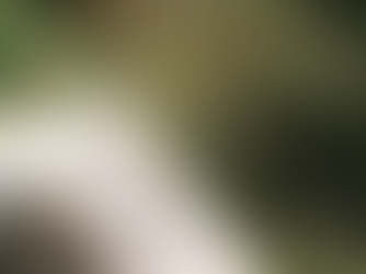 美好生活引路者|𓅯共讀 明日的餐桌