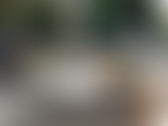 The Connection Between Beautiful Spaces, Flowers, and Mental Health