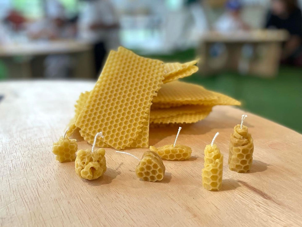 みつろうキャンドルを作ろう!