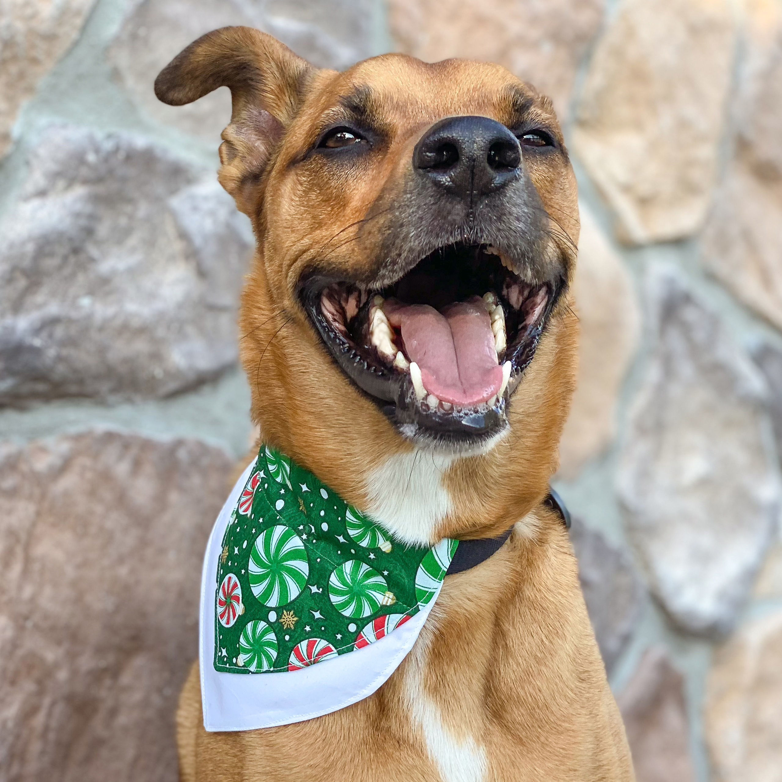 Christmas Candy Bandana