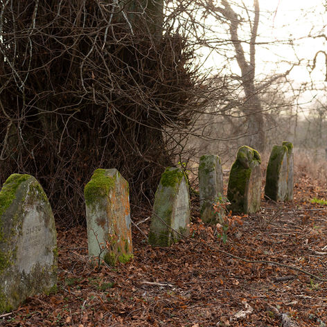 12. Pet-Cemetery.jpg