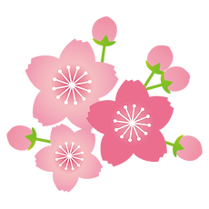 桜