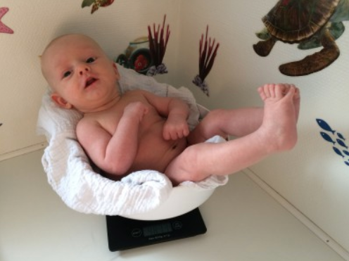 Oliver – 8 uger – 61 cm – 4784g