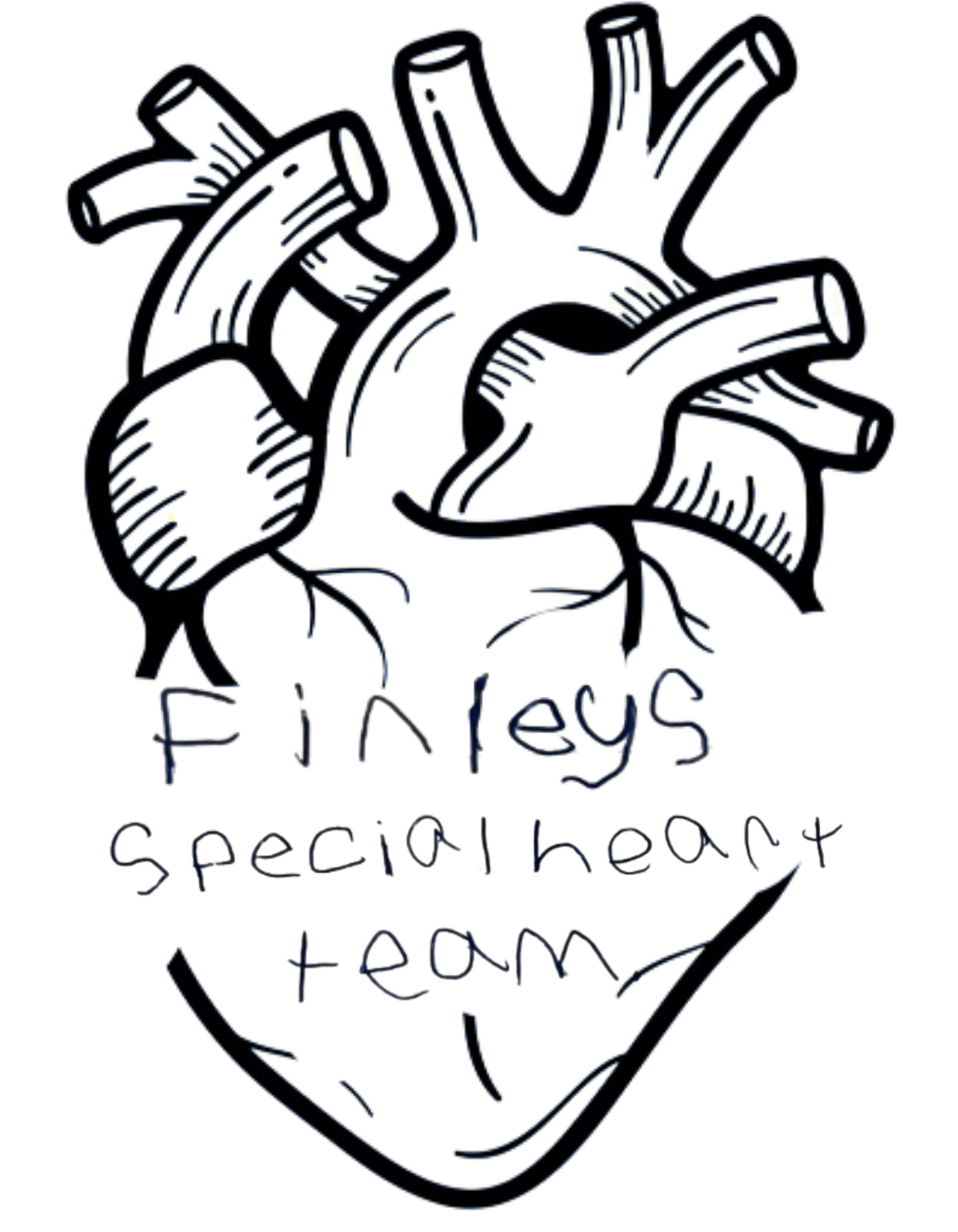 Finely's Special Heart Team Water Bottle | Anatomical Heart