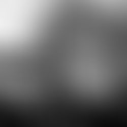 73 anos da Declaração Universal dos Direitos Humanos: o contexto brasileiro