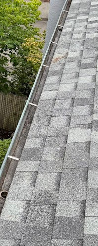Clean Gutter After