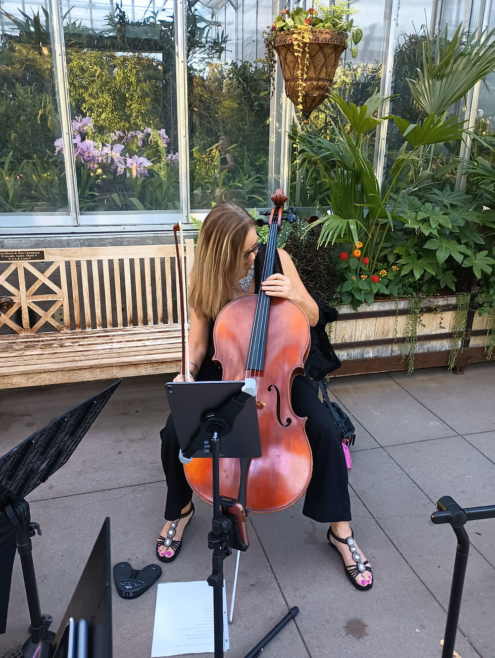 Botanic Gardens - Solo Cello