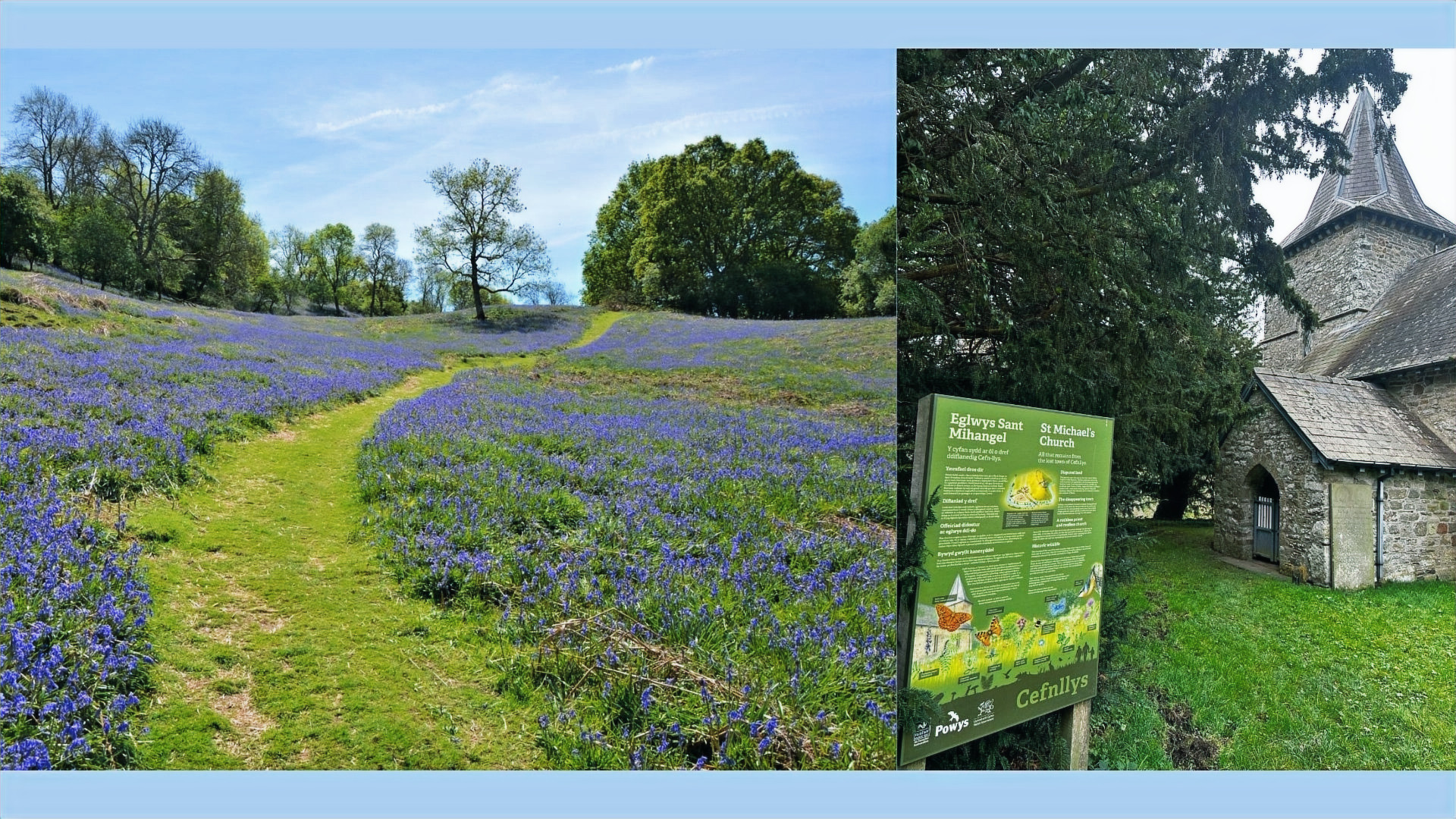 Spring Wales 'Springtime in the Heart of Wales': Bluebell Walk & Historic Landscapes ...
