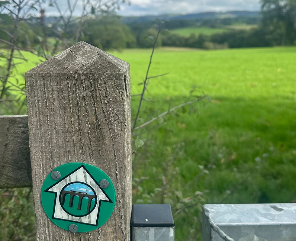 60+ Guided Walk Newbridge Sept 2026