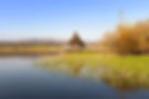 Llangorse Lake Wild Flower Meadows & Historic Royal Crannog Walk