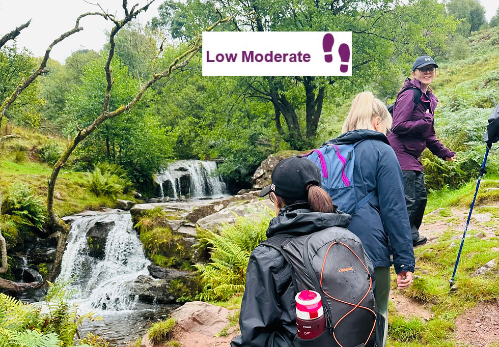Waterfalls of Blaen-y-Glyn: An Autumn Gem of the Brecon Beacons