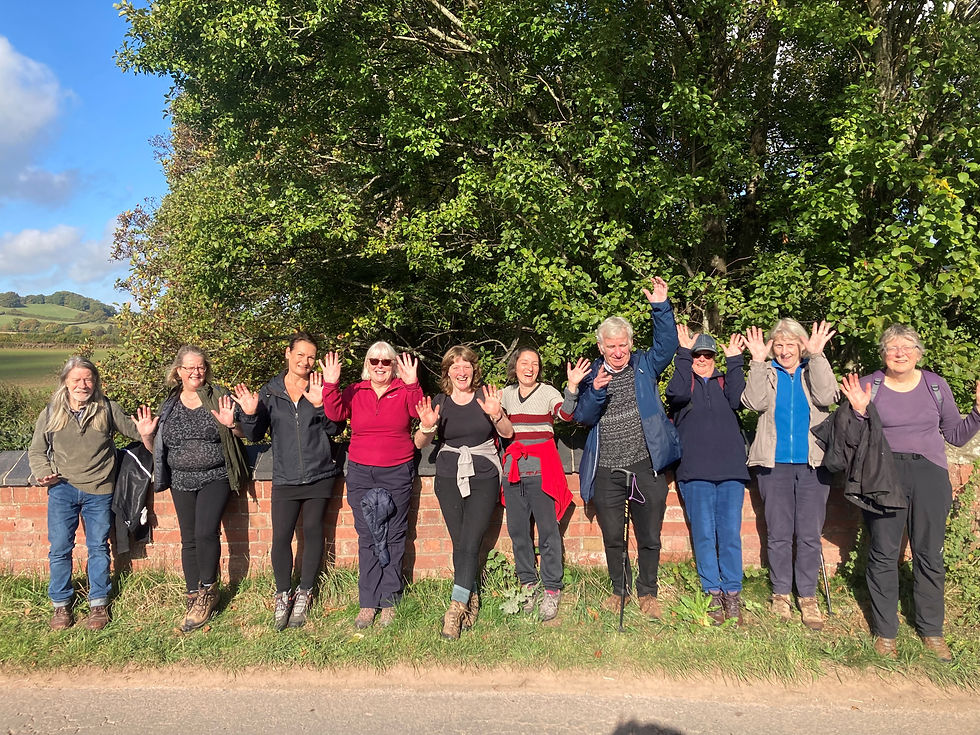 Step Into Wellness: 6-Week Countryside Walking Afternoons 2026