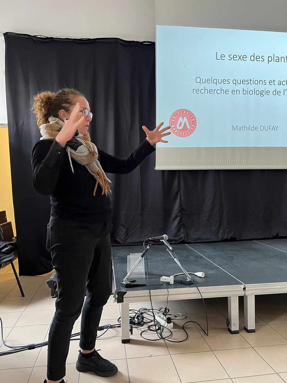 Mathilde Dufay a répondu pour nous à de nombreuses questions sur le sexe des plantes et leur evolution